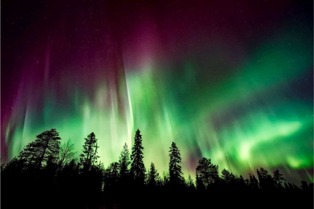 aurora boreale sopra i boschi