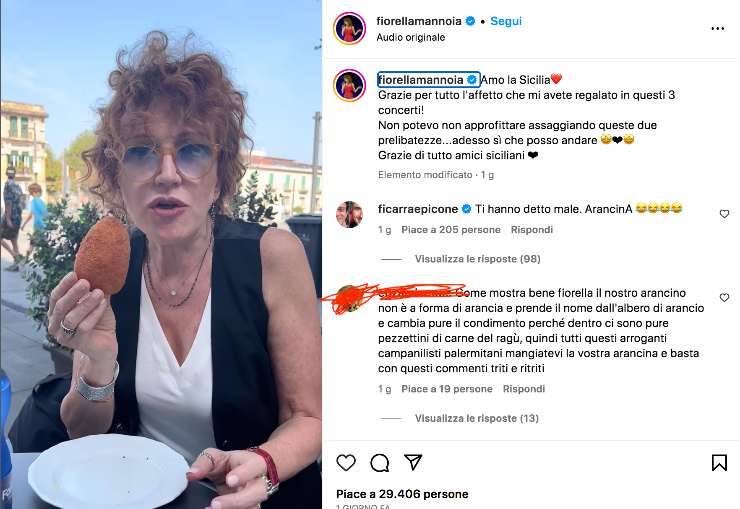 Fiorella Mannoia e l'arancino: la gaffe