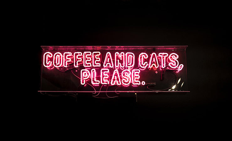 una scritta al neon di un cat café