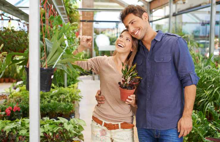 coppia acquista piante