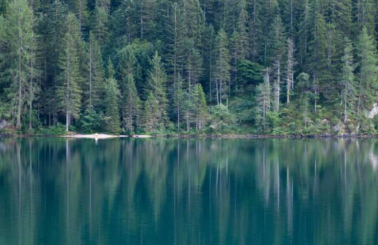 laghi trentini