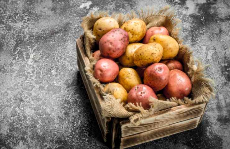 dove conservare le patate